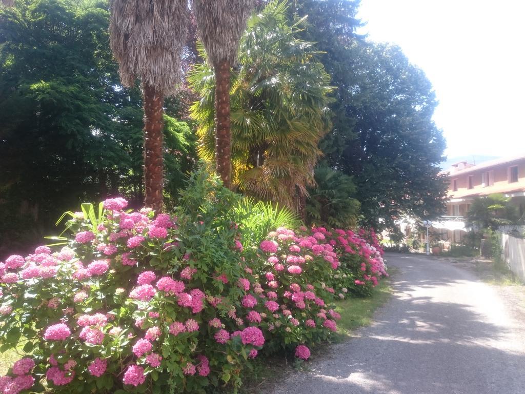 Hotel Le Mas Fleuri Vernet-les-Bains Exterior foto